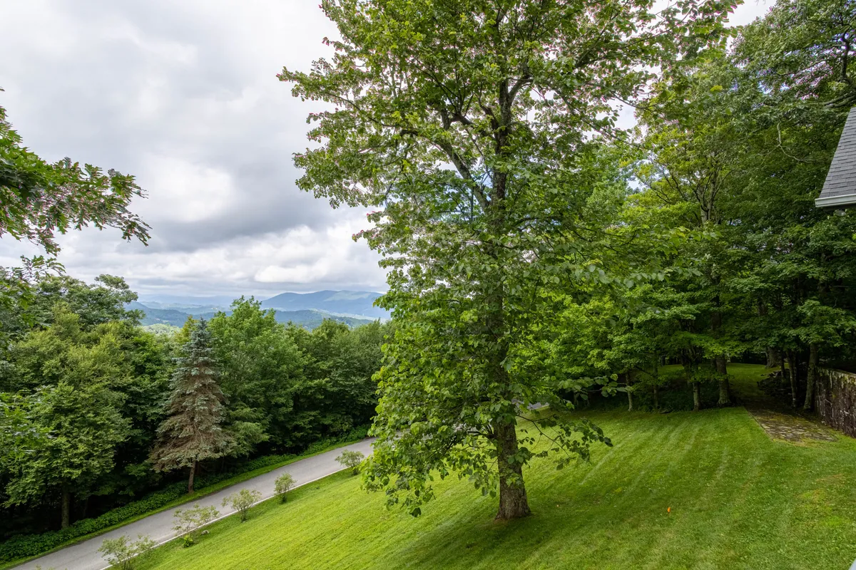 This image presents a peaceful outdoor scene with a large tree set among rolling hills under a cloudy sky. The landscape radiates tranquility and natural beauty, with open space perfect for walking, picnicking, and appreciating the mountain environment. The colors and atmosphere evoke the changing seasons and the appeal of the great outdoors.