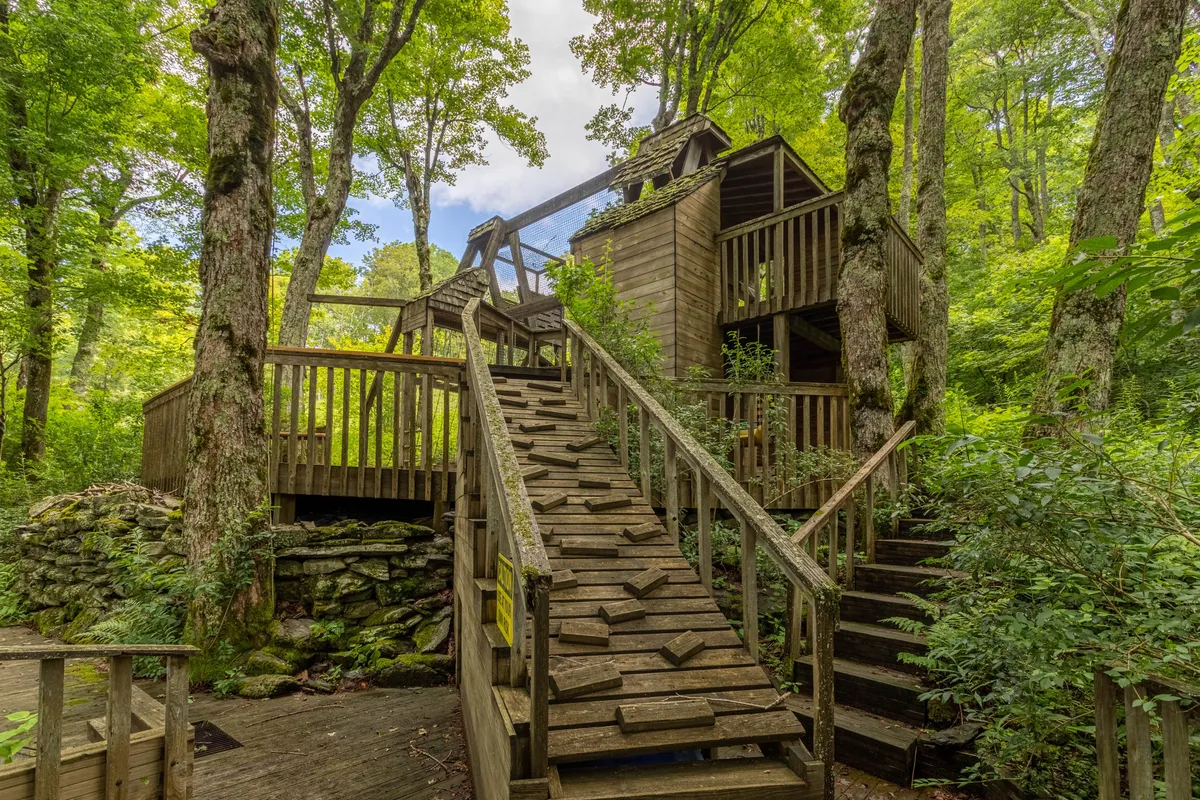 A view of a wooden deck structure and staircase surrounded by trees. The image suggests opportunities for outdoor exploration, gatherings, and immersion in the natural landscape—features that elevate the resort-like experience.