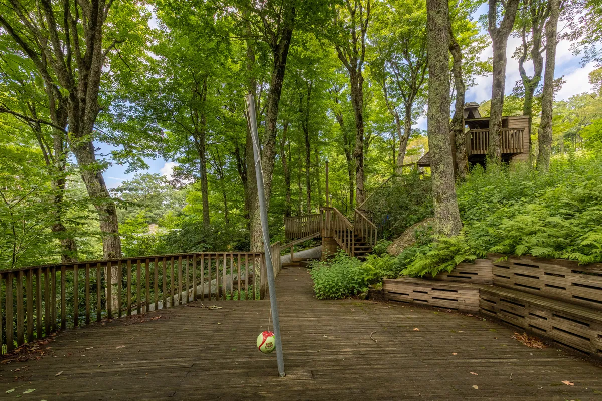 The photo shows a wooden walkway leading to a soccer ball situated in the grass, with a whimsical treehouse in the background. The area is surrounded by natural foliage, inviting guests and their dogs to explore and play.